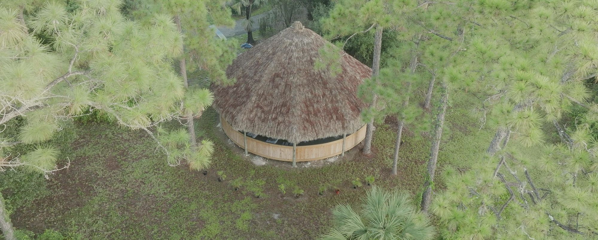 The maloka seen from above, its thatched roof in a clearing among tall pines.